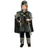 Knight Armor Childrens Halloween Costume with Cape and Sword in use