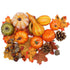 Thanksgiving Table Decor 50 Piece Fall Harvest Kit lifestyle scene