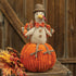 Turkey on pumpkin decoration styled on a wooden surface