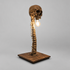 Decorative Skeleton Table Lamp - Nightspine studio packshot