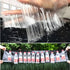 Mouse Glue Traps and Rat with Large Sticky Adhesive Surface for Rodent Control - Image 5