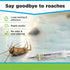 Indoor Pest Control Gel Syringe Cockroach Elimination