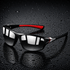 BERGWIND – Polarized Sports Sunglasses