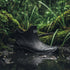 STORMSTEP – Rubber Boots – Waterproof Comfort for Challenging Paths