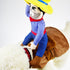 Cowboy Rider Costume for Small Dogs and Cats size and fit