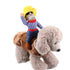 Cowboy Rider Costume for Small Dogs and Cats lifestyle scene